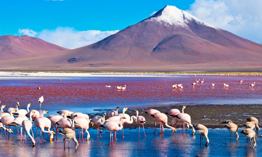 Diaporama Tout P�rou